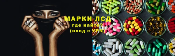 PSILOCYBIN Белокуриха